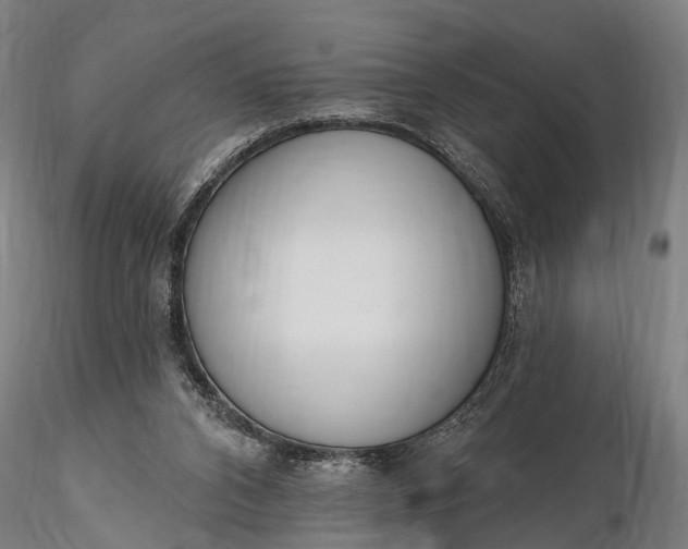 X0000116300112200912141344