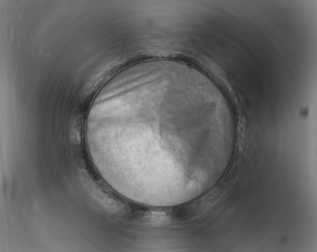 X0000116300114200912141344