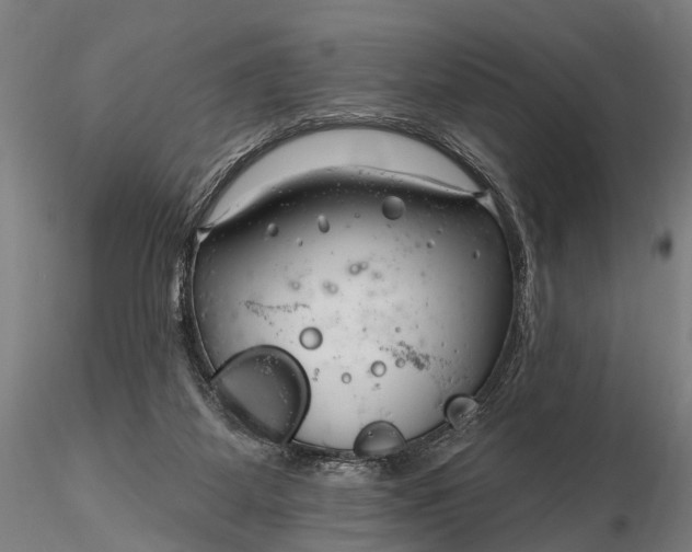 X0000116300115200912141344