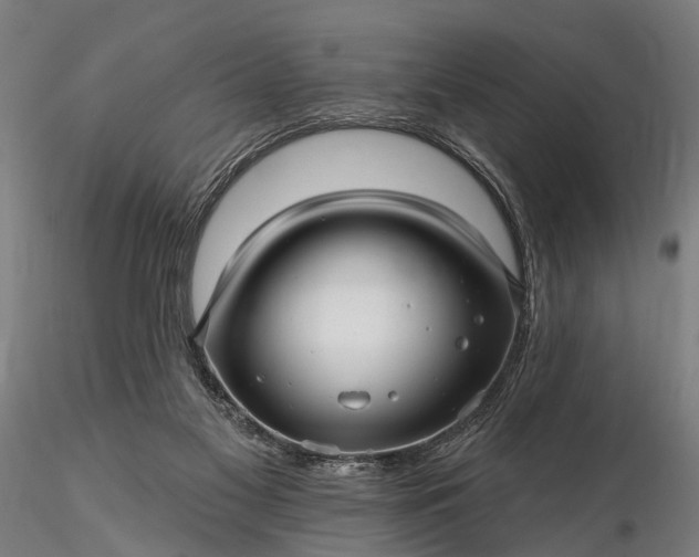 X0000116300117200912141344