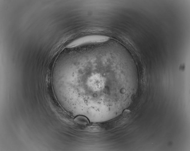 X0000116300119200912141344