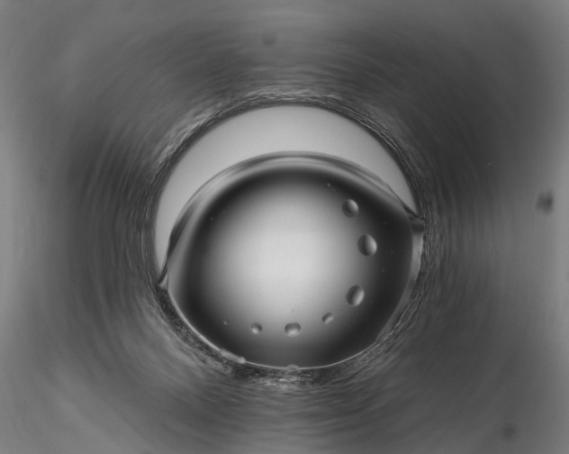 X0000116300120200912141344