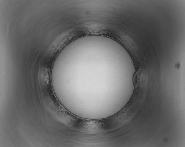 X0000116300121200912141344