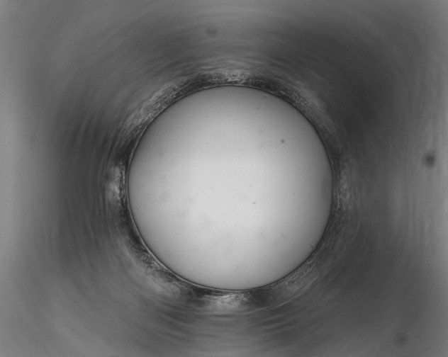 X0000116300122200912141344