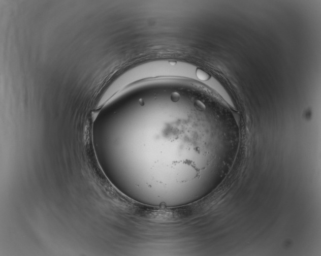 X0000116300123200912141344