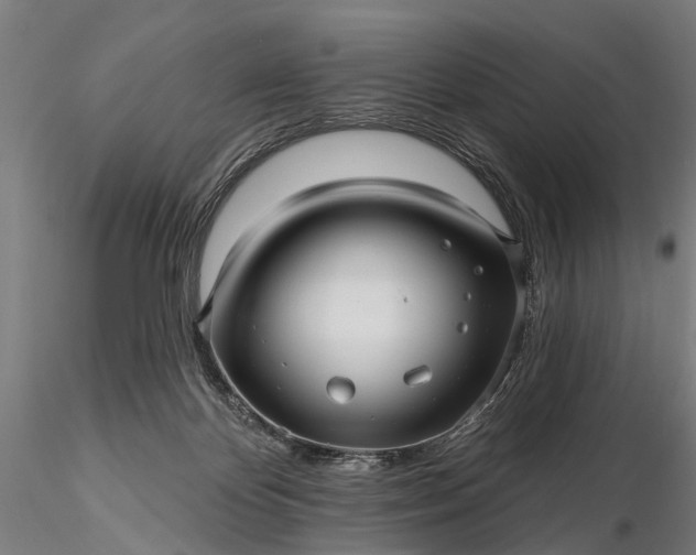 X0000116300124200912141344