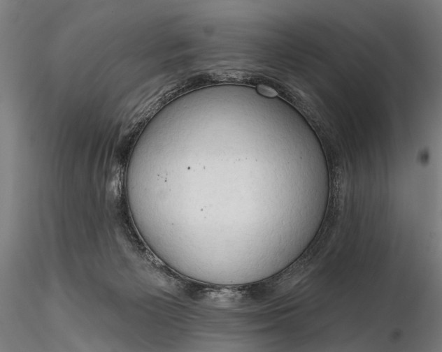 X0000116300125200912141344