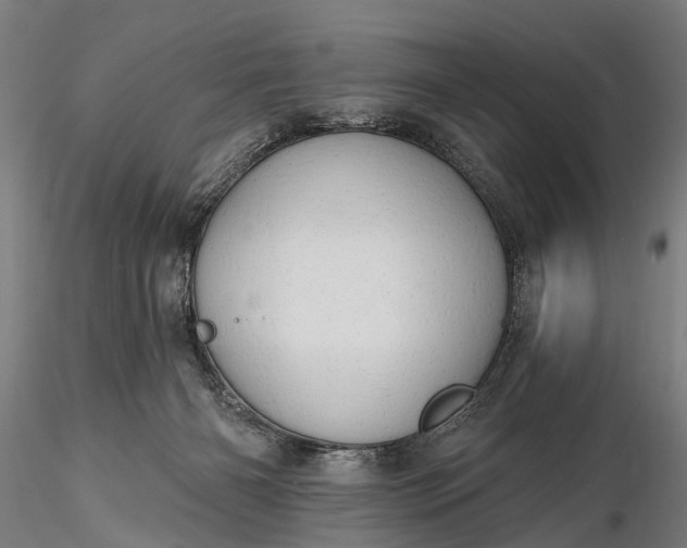 X0000116300126200912141344