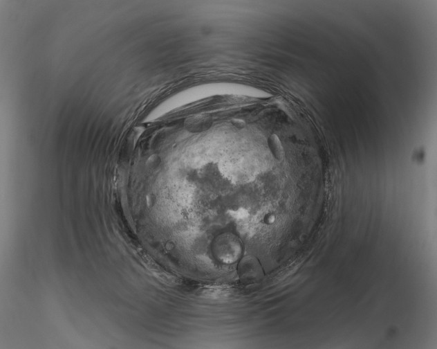 X0000116300127200912141344