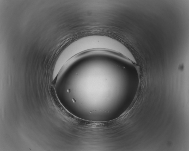 X0000116300128200912141344