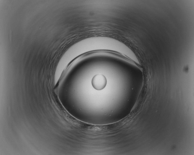 X0000116300129200912141344