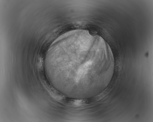 X0000116300130200912141344