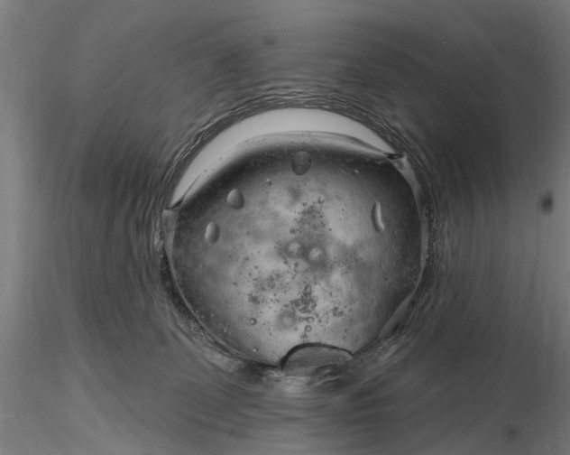 X0000116300131200912141344