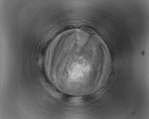 X0000116300132200912141344