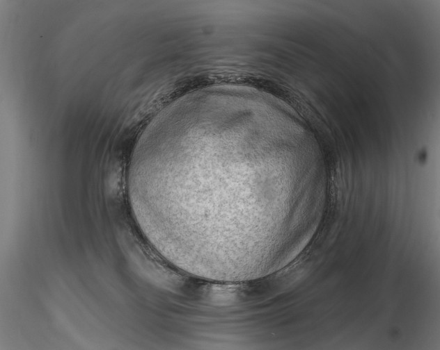 X0000116300134200912141344