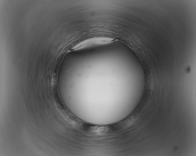 X0000116300135200912141344