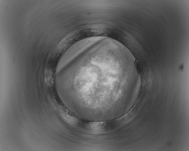 X0000116300136200912141344