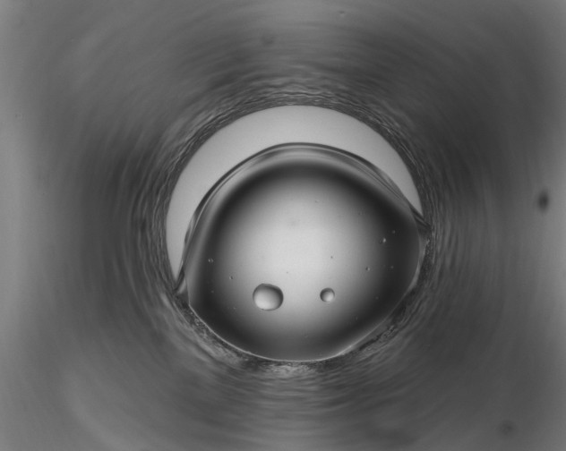 X0000116300137200912141344