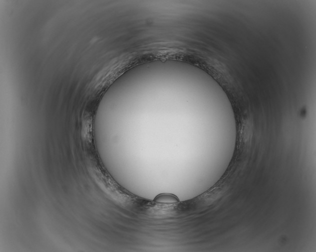 X0000116300138200912141344