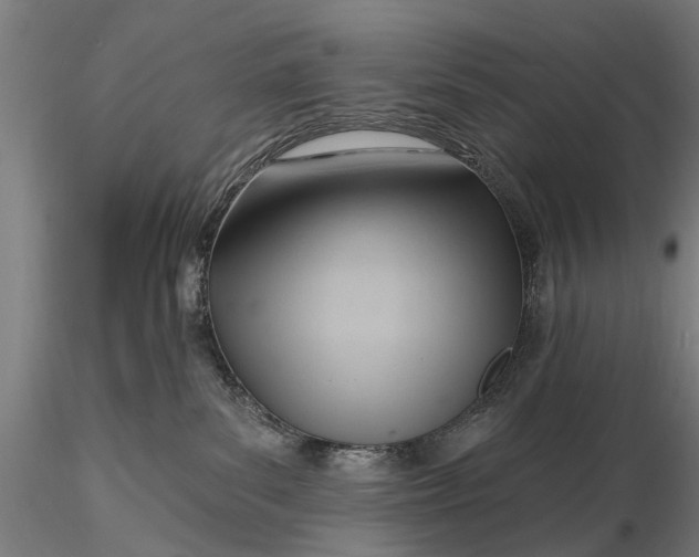 X0000116300139200912141344