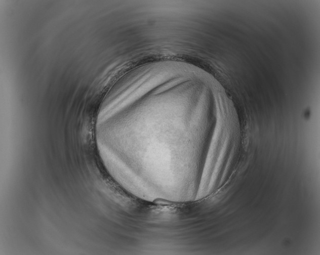 X0000116300140200912141344