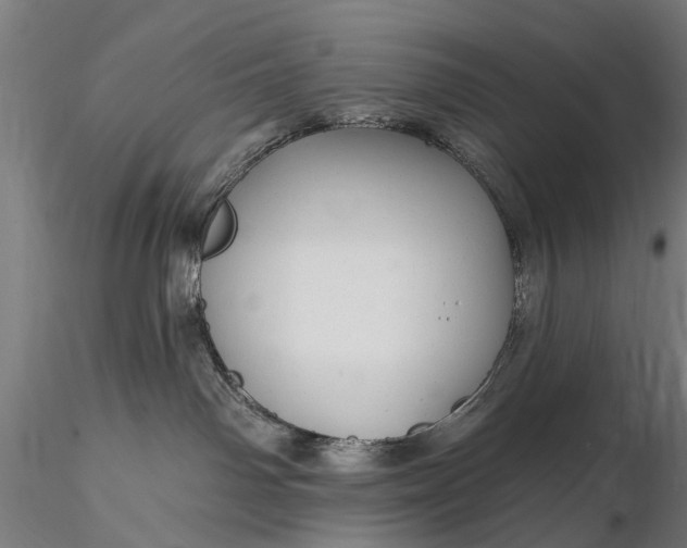 X0000116300142200912141344