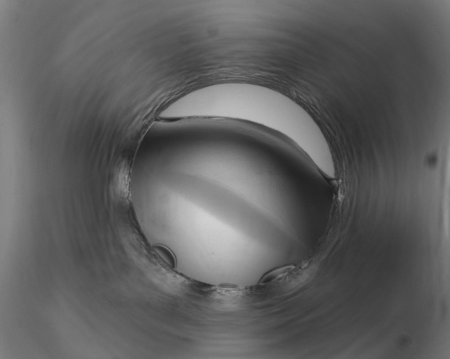 X0000116300143200912141344