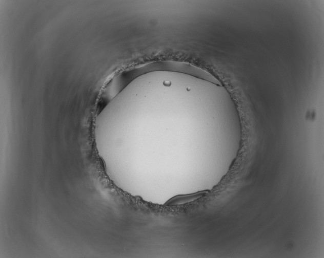 X0000116300144200912141344