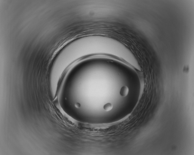 X0000116300146200912141343