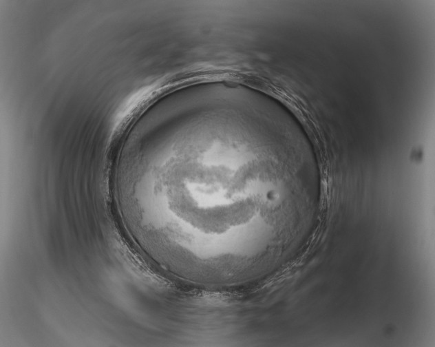 X0000116300149200912141343