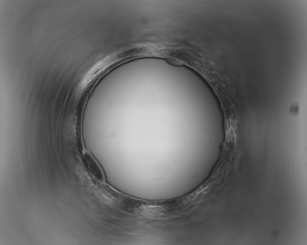 X0000116300150200912141343