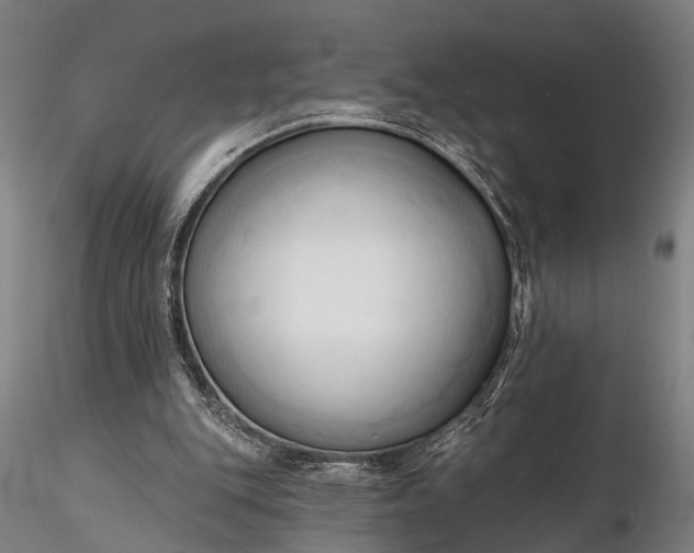 X0000116300151200912141343