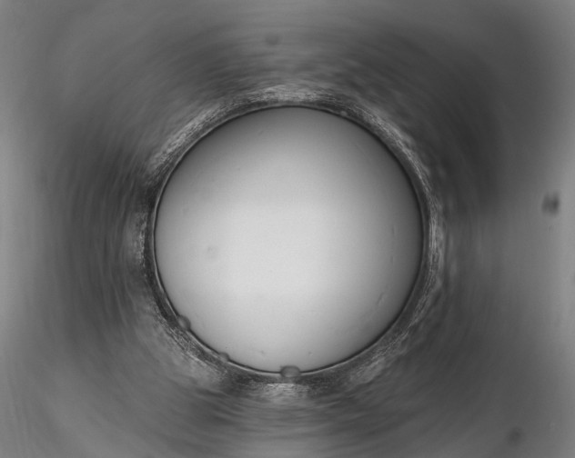 X0000116300153200912141343