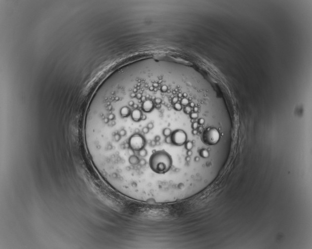 X0000116300155200912141343