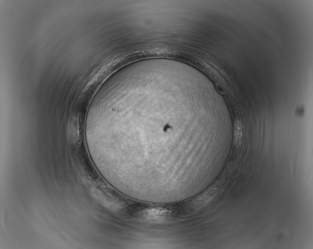 X0000116300158200912141343