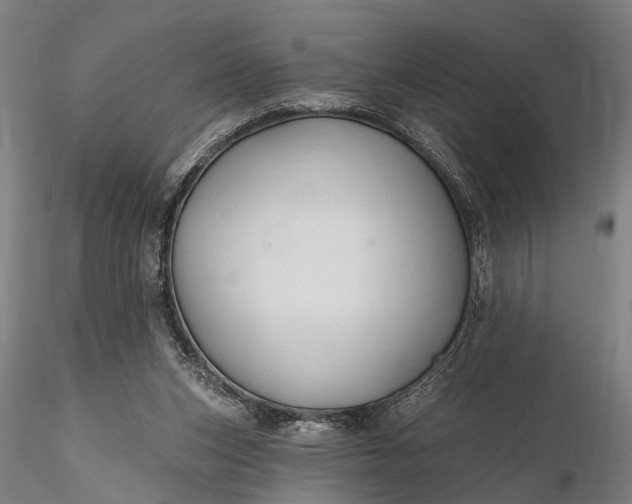 X0000116300159200912141343