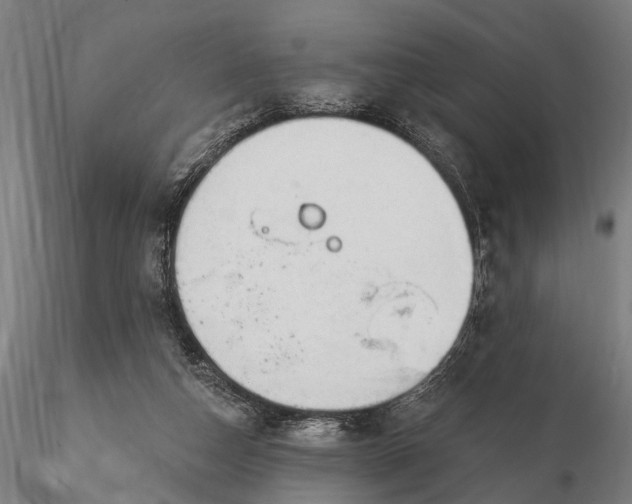 X0000116300162200912141343