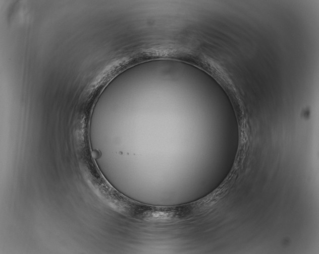 X0000116300163200912141343