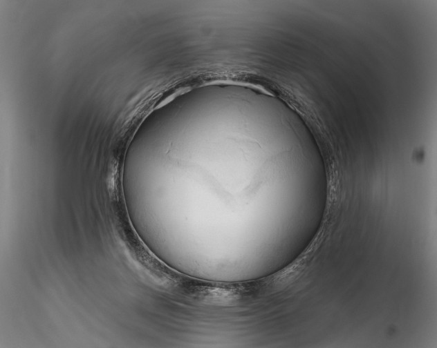 X0000116300166200912141343