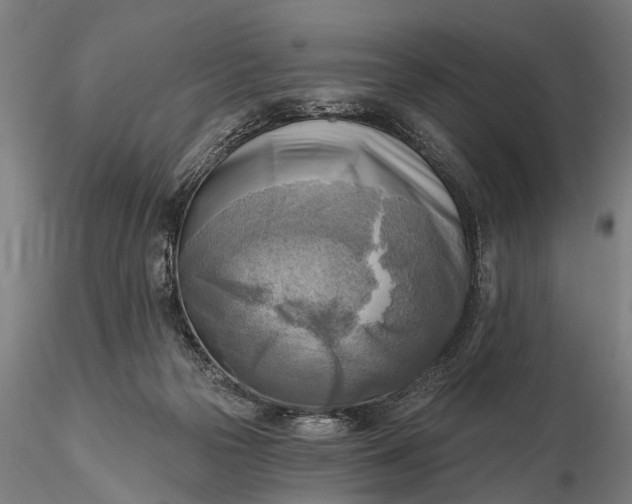 X0000116300169200912141343