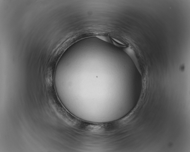 X0000116300170200912141343