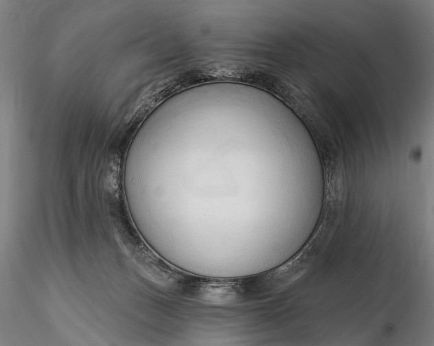 X0000116300175200912141343