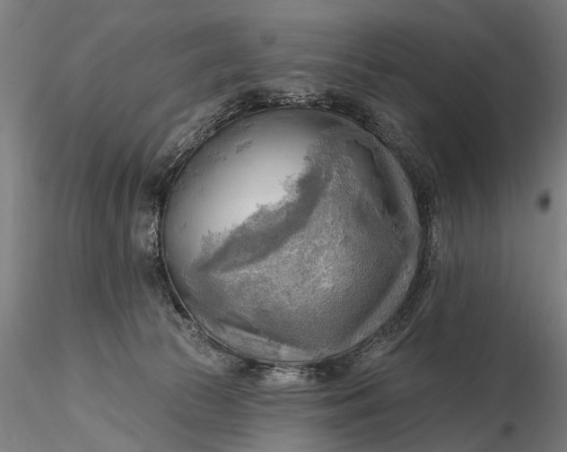 X0000116300177200912141344