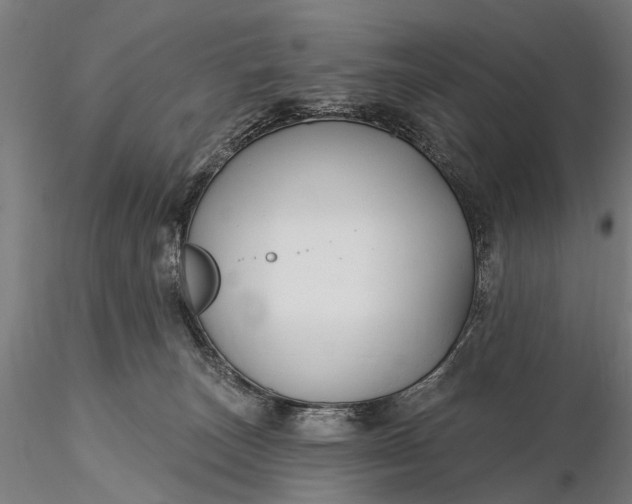 X0000116300179200912141344