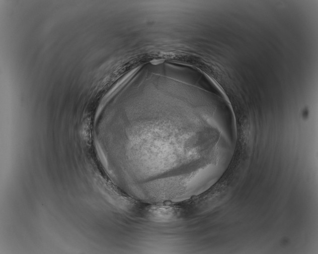 X0000116300181200912141344