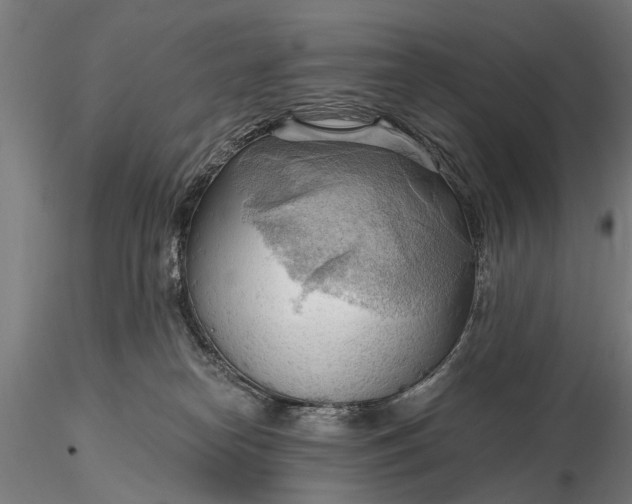 X0000116300182200912141344