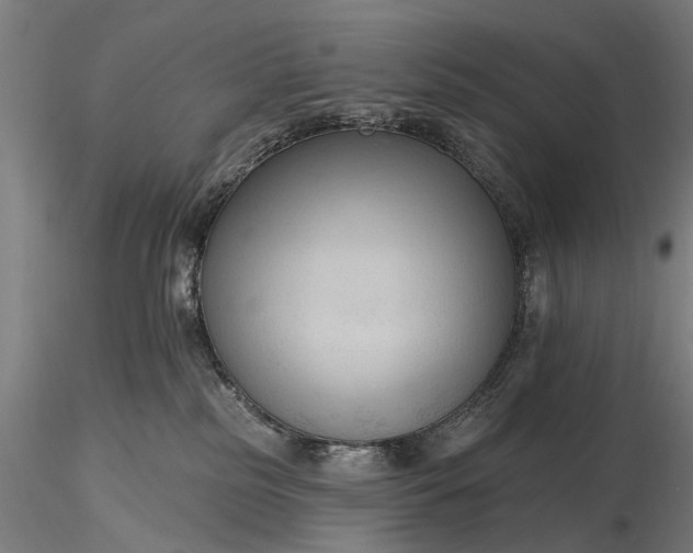 X0000116300185200912141344