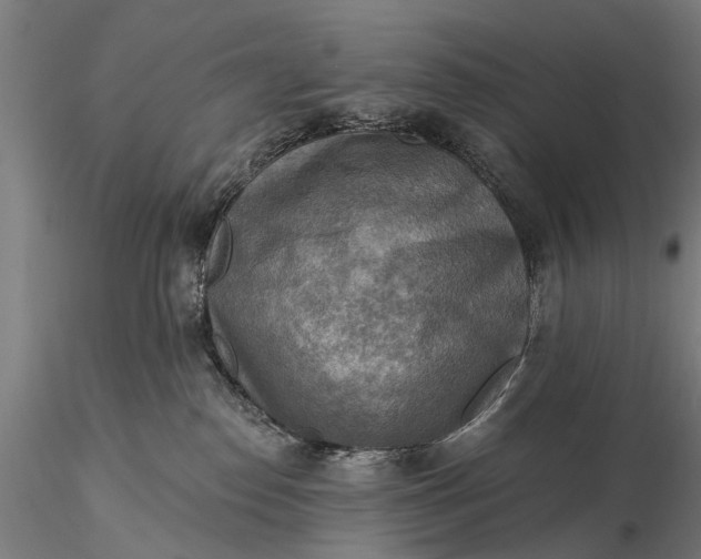 X0000116300186200912141344