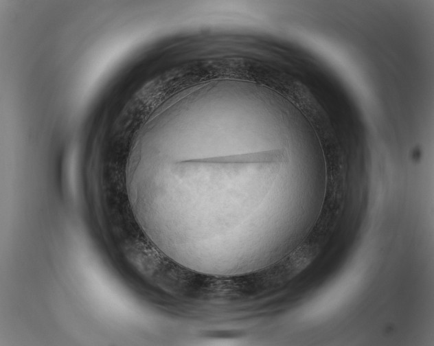 X0000116300189200912141344