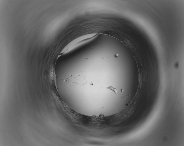 X0000116300190200912141344